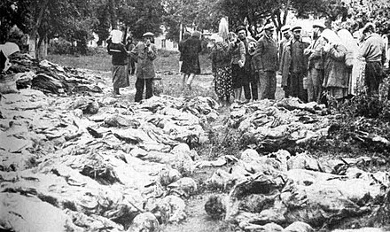 A few of the thousands of bodies of men and women killed in Vinnytsia by the Soviet NKVD, 1937-1938, and exhumed in 1943.e